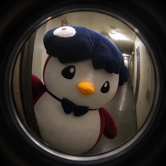 A large stuffed penguin character with a blue pompadour and a bow tie, viewed through a peephole in a hallway.