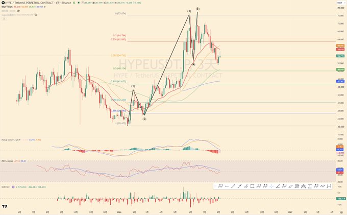 The image displays a TradingView candlestick chart of HYPE/USDT Perpetual Contract, annotated with Elliott Wave labels (1-5) showing a completed impulse wave pattern peaking near $76 before pulling back, with the posted text highlighting that HYPE is leading the broader market's bear-to-bull transition. Technical indicators including MACD, RSI, and OBV are visible below the price action, and the recent price decline from the (5) wave peak supports the author's claim that HYPE is currently in a corrective pullback while the larger asset remains in a bear market bottoming phase.
