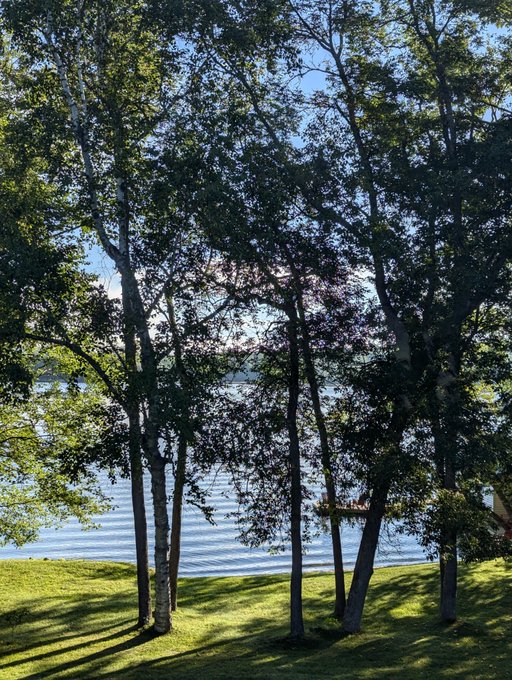 A scenic outdoor view looking through tall trees at a grassy lawn toward a calm blue lake under a clear sky.