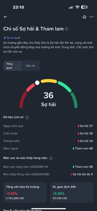 A mobile app screenshot in Vietnamese titled 'Chỉ số Sợ hãi & Tham lam' (Fear & Greed Index) displaying a score of 36 for Sợ hãi (Fear), along with historical data and market stats.