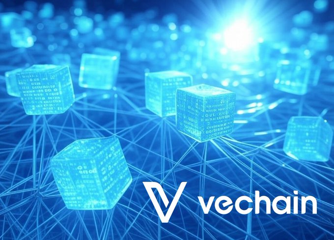 The image features a group of blue cubes scattered across a dark background, with the word "VecChain" written above them. The cubes are connected by lines, creating an intricate network-like pattern. The text "The market may be missing what Stchain upgrades + TRUST AI could mean for $VET" is also present in the image.