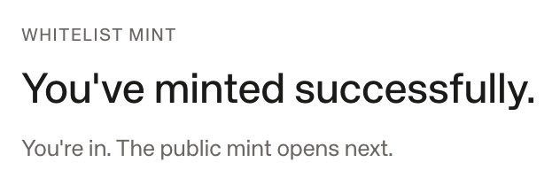 A minimalist white confirmation screen displays 'WHITELIST MINT' header with the message 'You've minted successfully. You're in. The public mint opens next.'