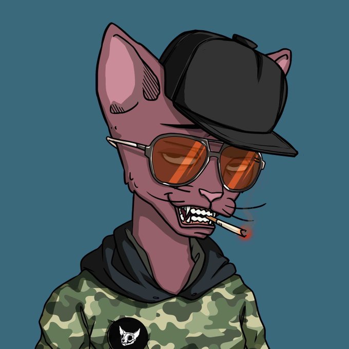 A stylized cartoon of a hairless cat wearing orange sunglasses, a black cap, and a camo jacket with a small dog logo smokes a lit cigarette while grinning. The edgy, "tough guy" illustration fits the underground crypto drop vibe of the post advertising a 0.5 SOL NFT mint for collection CET #4491.
