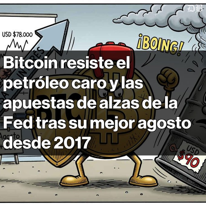 A cartoon illustration of a Bitcoin boxing character with the text 'Bitcoin resiste el petróleo caro y las apuestas de alzas de la Fed tras su mejor agosto desde 2017' (Bitcoin resists expensive oil and Fed rate hike bets after its best August since 2017).