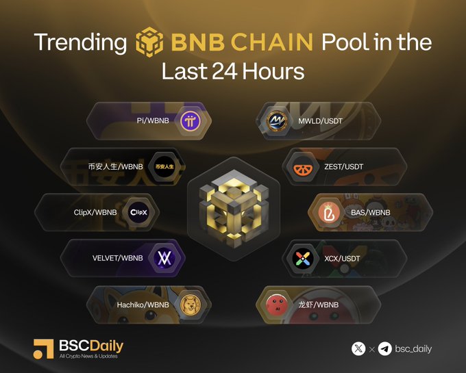 The image features a poster for BNB Chain Pool, which has been recently updated with new content. The poster displays various logos and icons related to Bitcoin and cryptocurrency, such as a Bitcoin wallet icon, a Bitcoin mining icon, and other symbols associated with the crypto world. The text on the poster indicates that there is a new update available for the pool, suggesting that it might be a limited edition or special feature.