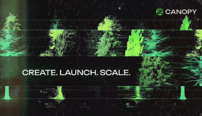 The image features a banner with green trees, which appears to be an advertisement for Canopy. The text "Canopy" is written above the trees, indicating that this is related to the company's name or product. Below the trees, there are three lines of text that read "Creative, Launch, Scale." This suggests that the image might be promoting a creative project or service, possibly related to launching a new platform or feature for users. The overall design and color scheme of the banner make it visually appealing and easy to understand.