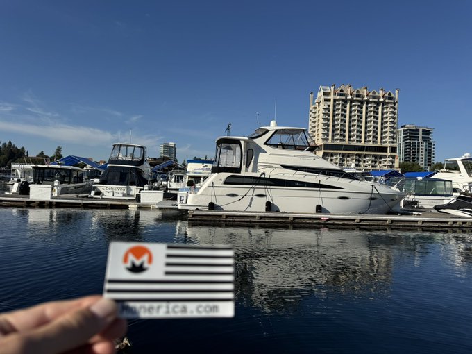 A marina scene with white yachts docked in calm blue water, framed by high-rise buildings in the background, while a hand in the foreground holds a Monster America card.