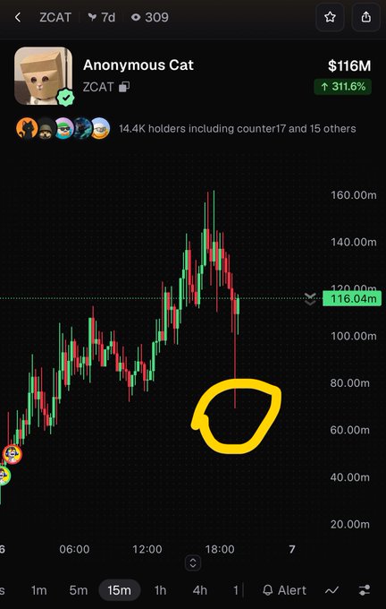 A mobile screenshot of a cryptocurrency trading chart for 'ZCAT' (Anonymous Cat), showing a value of '$116M' and a circled sharp downward price spike.
