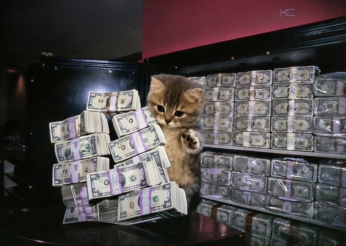 An AI-generated or heavily edited image of a small kitten appearing to be surrounded by massive stacks of banded US dollar bills, with the watermark 'KC' visible in the upper right corner.