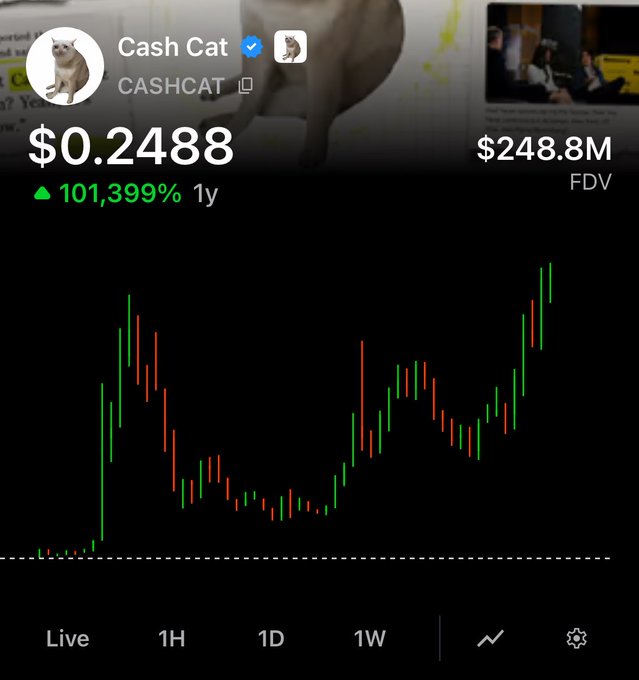 A cryptocurrency chart for 'Cash Cat' (CASHCAT) showing a price of $0.2488 with a 101,399% gain over 1 year and a $248.8M FDV, displaying green and red candlestick patterns on a dark background.