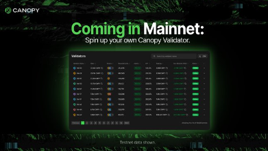 A promotional graphic reading 'Coming in Mainnet: Spin up your own Canopy Validator,' displaying a computer interface showing validators with status indicators, credited to Rachid Idrissi Berrada.
