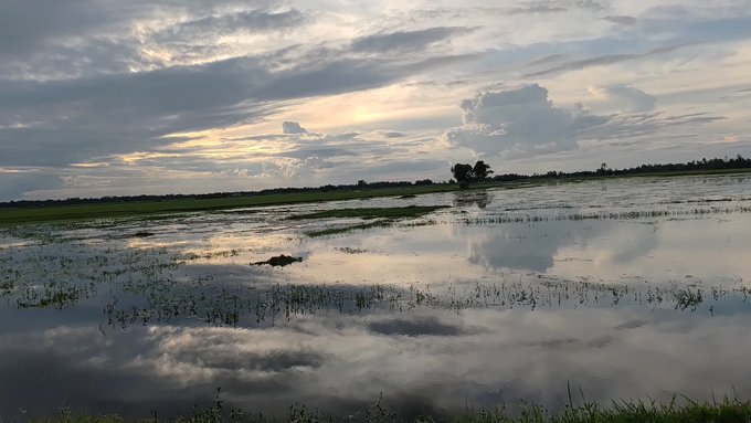 A flooded field mirrors a dramatic, cloud-filled sky at sunset, with the still water reflecting the heavens in peaceful symmetry. The vast, open landscape evokes a sense of quiet unity and shared space—much like a community built on mutual support, where every individual, like each reflective pool, contributes to the whole.