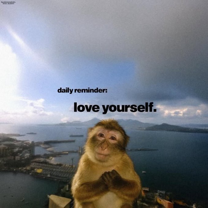 A meme featuring a smiling monkey with hands clasped together, with the text "daily reminder: love yourself." overlaid against a scenic coastal backdrop.
