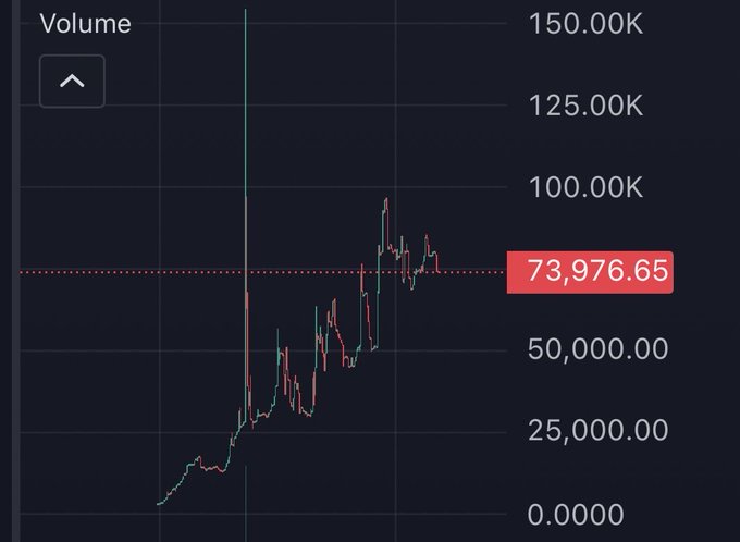 A financial trading chart showing Volume with a current value highlighted at 73,976.65, displaying price action with green and red candlesticks trending upward.