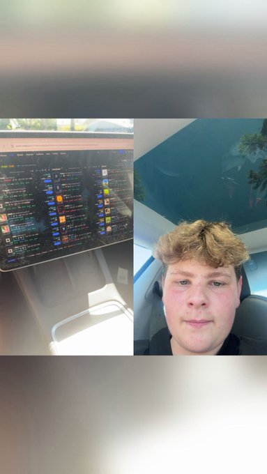 A young man takes a selfie inside a car next to a laptop screen displaying a cryptocurrency portfolio tracker with numerous token entries in green and red, suggesting he is showcasing his extensive collection of crypto wallets as referenced in the caption "Got 100 wallets on here."