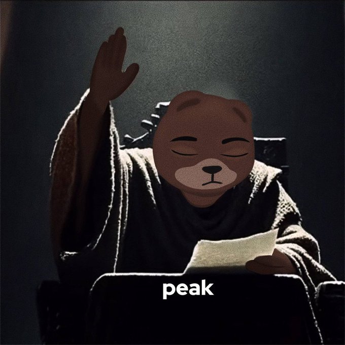 A meme showing a bear-faced figure in robes reading and raising a hand, with the word 'peak' written below.