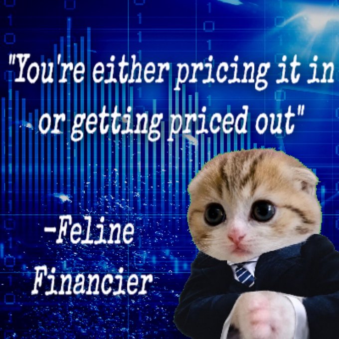 A meme featuring a kitten dressed in a business suit and tie against a blue background with financial charts and the quote 'You're either pricing it in or getting priced out' attributed to 'Feline Financier'.