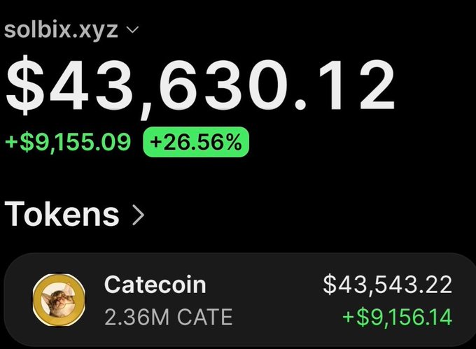 The image shows a screenshot from solbix.xyz displaying wallet holdings for "Catecoin" (CATE), showing a portfolio value of $43,630.12 with a +$9,155.09 (+26.56%) gain, holding 2.36M CATE tokens worth $43,543.22 (+$9,156.14). This aligns with the post's claim of a profitable trade where the wallet turned $19,600 into significant gains, currently sitting on $43,400 in CATE tokens after taking out $26,400 in profit.