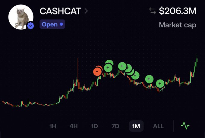 A crypto token chart for CASHCAT showing a $206.3M market cap, with green '+' markers indicating buys and an orange '-' marker indicating a sell on a 1M timeframe.