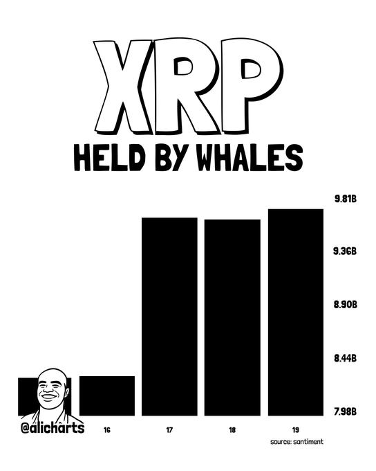 The image is a bar chart titled "XRP HELD BY WHALES" showing whale holdings increasing from approximately 7.98B to 9.81B over four time periods (16-19), illustrating the ~1.54 billion XRP ($2.2 billion) accumulation by large holders as referenced in the post.