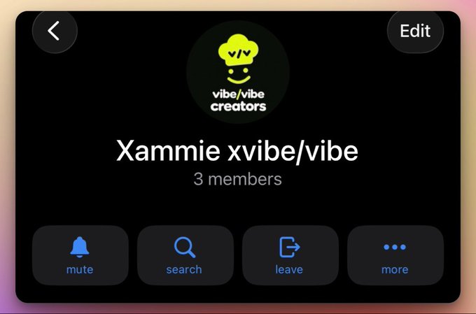 A mobile app interface displays a group titled 'Xammie xvibe/vibe' under the 'vibe/vibe creators' logo with 3 members, showing options to mute, search, leave, or access more.