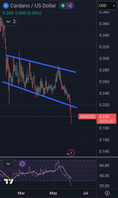 The image shows a graph on a computer screen that appears to be displaying a downward trend or a bearish pattern with price points lower than the previous day's high. A post has been shared, stating that "This might have been the bottom, at least on the short term. Now send $ADA back into the channel." This means that someone should sell the currency they were holding to avoid further losing money due to the downward trend depicted in the graph.