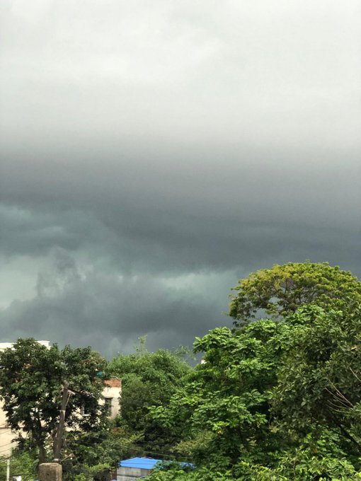 The image shows a cloudy sky with trees below, creating an interesting contrast between the natural elements and the urban environment. The caption provides information about Dropee, a messaging app that has gained popularity among users. This suggests that there might be a connection between the presence of trees in the background and the growing user base for Dropee's messaging app.