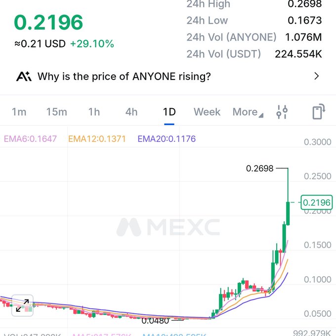 A MEXC chart shows the ANYONE/USDT pair surging 29.10% to $0.2196, with a 24h high of $0.2698 and a sharp breakout from a previous low near $0.0480. The dramatic upward candle spike visually reinforces the poster's bullish conviction that "$1 for ANYONE is not a big deal" during what they call "privacy season."