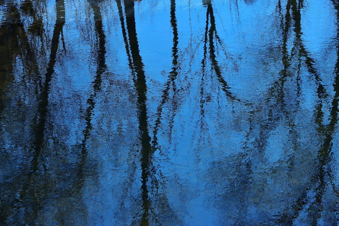 An abstract image features rippling blue water with dark vertical streaks resembling reflections of trees.