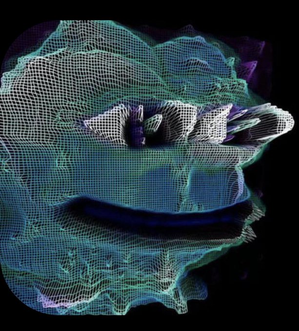 A 3D wireframe mesh digital rendering of a textured surface in blue and teal tones against a black background.