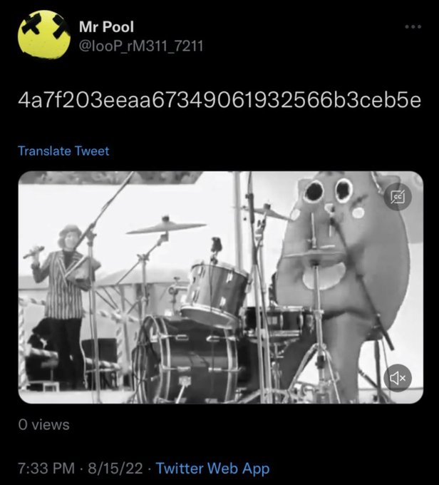 The image shows a Twitter post by user "Mr Pool" (@looP_rM311_7211) dated 8/15/22, featuring a black-and-white video thumbnail of a person playing drums alongside a cartoonish drum character with large eyes, accompanied by a string of alphanumeric text "4a7f203eeaa67349061932566b3ceb5e" that appears to reference XRP cryptocurrency.