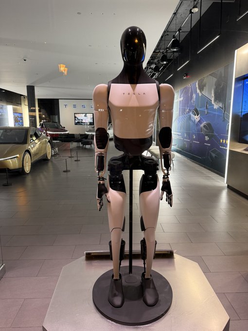 A humanoid robot branded "TESLA" stands on display in a showroom, with the word "Optimus" referenced as its name. The sleek black-and-white figure is showcased on a platform in front of a vehicle and Tesla signage.
