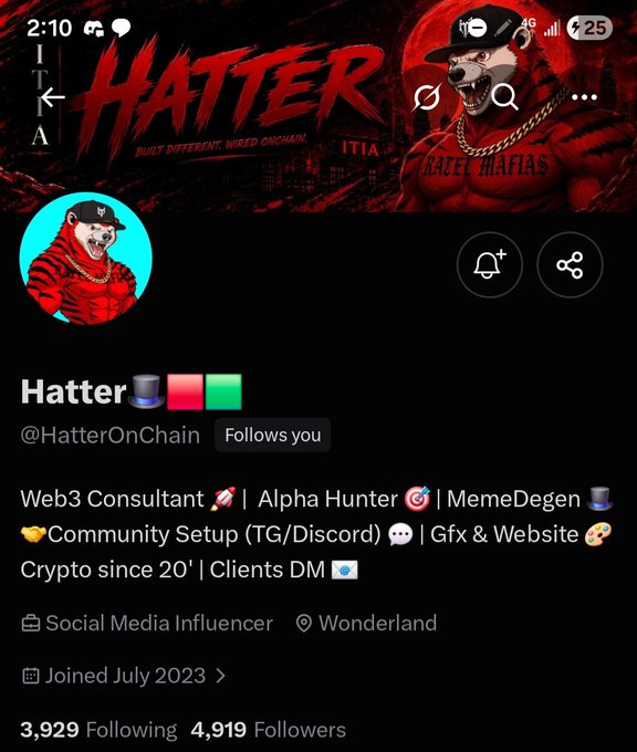 A Twitter/X profile screenshot for "Hatter" (@HatterOnChain) featuring a red bear mascot in the banner and avatar, with bio text including "Web3 Consultant", "Alpha Hunter", "MemeDegen", and "Crypto since 20'"; the account has 4,919 followers.