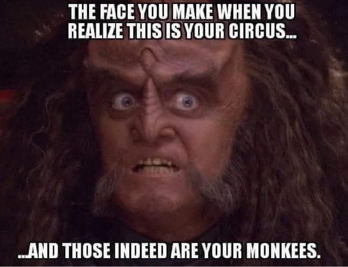 A meme featuring a wide-eyed, shocked character with the text 'THE FACE YOU MAKE WHEN YOU REALIZE THIS IS YOUR CIRCUS...' at the top and '...AND THOSE INDEED ARE YOUR MONKEES.' at the bottom.