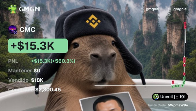 A humorous internet meme featuring a capybara wearing a BNB (Binance) hat in a bathtub, overlaid with trading interface elements showing "GMGN", "CMC", "PNL +$15.3K (+560.3%)", and various financial metrics.