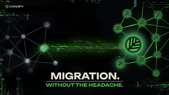 A promotional graphic for Canopy features interconnected network nodes and the tagline "MIGRATION. WITHOUT THE HEADACHE." The visual of nodes transitioning from a sparse, gray web on the left to a dense, glowing green cluster on the right mirrors the post's message about blockchain competition shifting from raw speed to the strength of interconnected ecosystems where developers, users, and value converge.