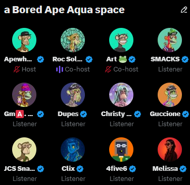 A screenshot of a Twitter Spaces audio room titled 'a Bored Ape Aqua space' showing 12 participants including hosts Apewhi... and Roc Sol..., and listeners with Bored Ape NFT profile pictures.