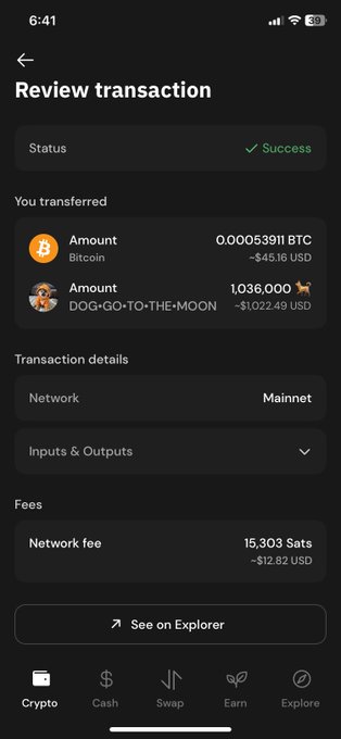 A screenshot of a successful crypto transaction review screen showing a transfer of 0.00053911 BTC (~45.16 USD) and 1,036,000 DOG-GO-TO-THE-MOON (~1,022.49 USD) on the Mainnet, with a network fee of 15,303 sats.
