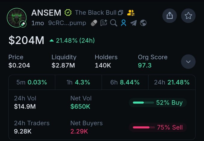 A cryptocurrency token page showing 'ANSEM' with the ticker $204M, a price of $0.204, and 21.48% gains over 24 hours, indicating a 'pump' on 9cRC.