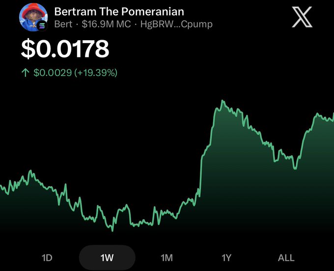 A cryptocurrency chart for 'Bertram The Pomeranian' (Bert) showing a price of $0.0178, up $0.0029 (+19.39%) over a 1-week view with a market cap of $16.9M.