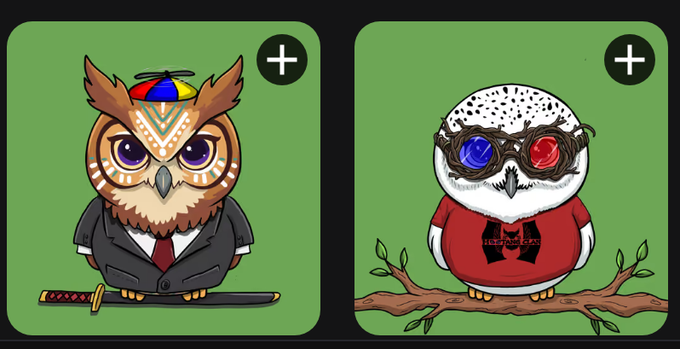 Two cartoon owl illustrations on green backgrounds: one in a suit with a propeller beanie hat and a sword, the other wearing 3D glasses and a red shirt perched on a branch.