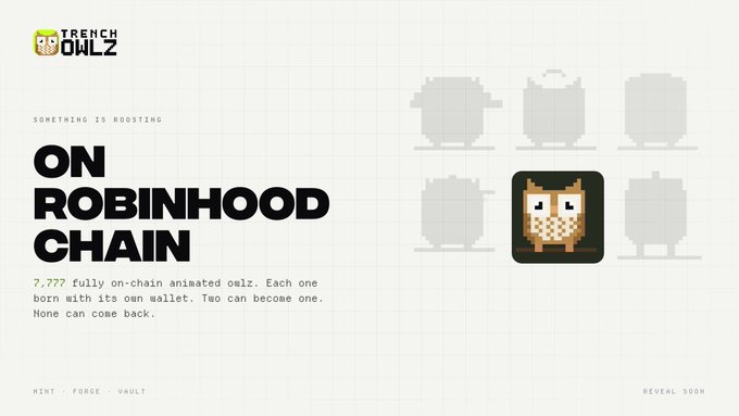 A promotional graphic for 'TRENCH OWLZ' announcing they are 'ON ROBINHOOD CHAIN,' featuring text reading 'SOMETHING IS ROASTING,' '7,777 fully on-chain animated owlz,' and 'REVEAL SOON.'