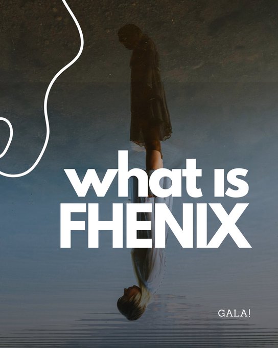 Promotional graphic with bold white text 'what is FHENIX' over a mirrored image of a person standing in water, branded with 'GALA!' in the bottom right corner.