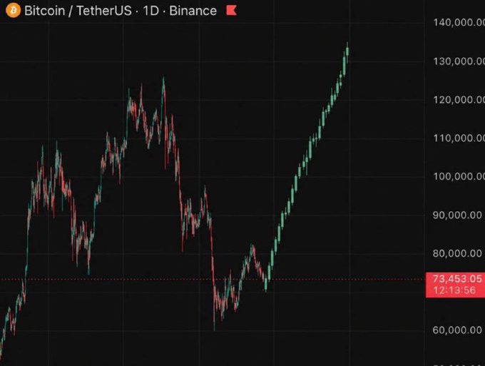 A daily candlestick chart of BTC/USDT on Binance shows Bitcoin's price rallying from below $60,000 to a peak near $135,000 before pulling back to $73,453.05 at 12:13:56, visually illustrating the explosive bull run the caption references.