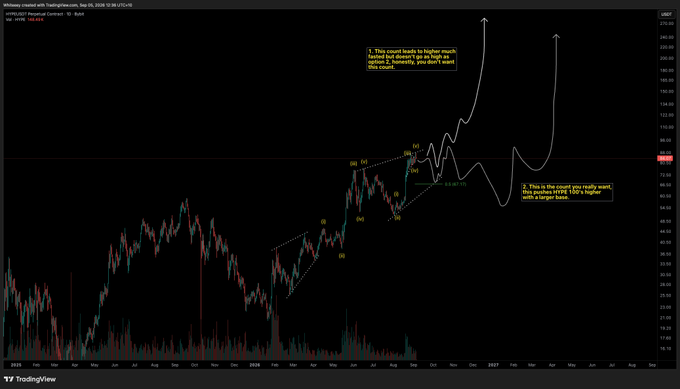 A TradingView chart of Wildercrymcs market cap (CRYPTO) on the USD pair, with a $108.69 value marked, showing a multi-month price progression into early 2027 with annotations labeled 1, 2, 3, 4, 5, (i), (ii), (iii), (iv), and (v) mapping a potential Elliott Wave Leading Diagonal pattern, accompanied by commentary about $HYPE being at a crossroads and entertaining a "mega bullish count" after breaking the high, noting diminishing odds of the diagonal playing out and the author rebuying $HYPE at the same price they sold at (~$8).