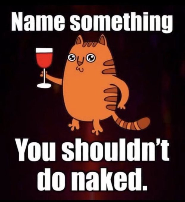 A meme featuring an orange cartoon cat holding a glass of red wine, with text reading 'Name something You shouldn't do naked.'