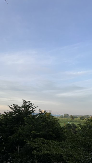 A landscape view of a clear blue sky with light wispy clouds stretching above a green tree canopy, with buildings faintly visible on the distant horizon.