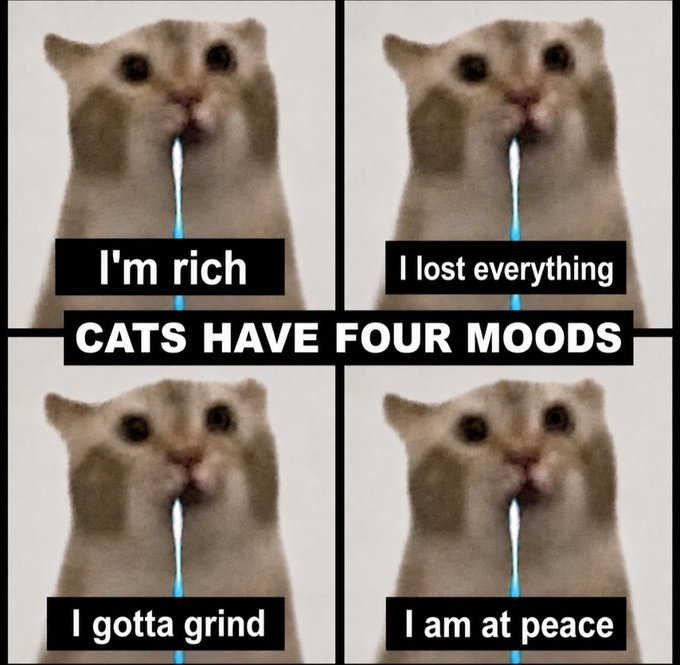 Meme image featuring four panels of a crying cat captioned 'CATS HAVE FOUR MOODS: I'm rich, I lost everything, I gotta grind, I am at peace'.
