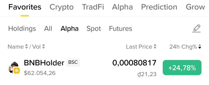 A cryptocurrency exchange interface showing the 'Favorites' tab with a token named 'BNBHolder' on BSC, priced at 0,00080817 with a +24,78% 24h change highlighted in green.