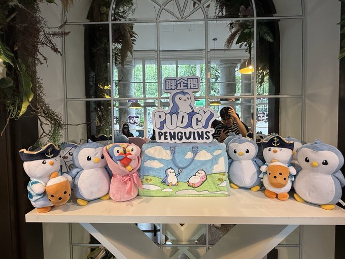 A display of 'Pudgy Penguins' plush toys in various outfits arranged on a white table beneath a matching sign, set against a glass partition in a shop.